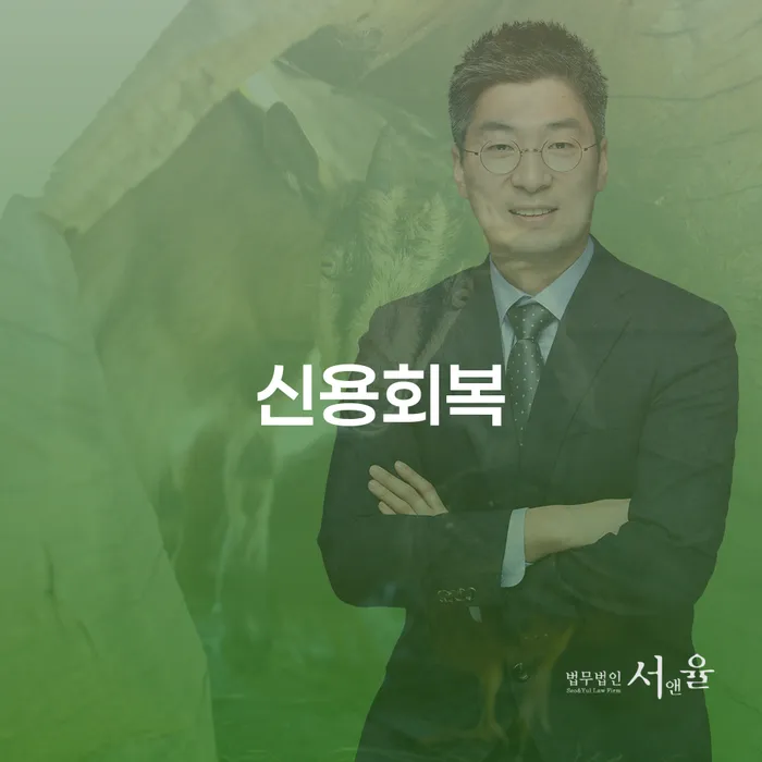 개인회생 개인회생 문제해결방법 접수를