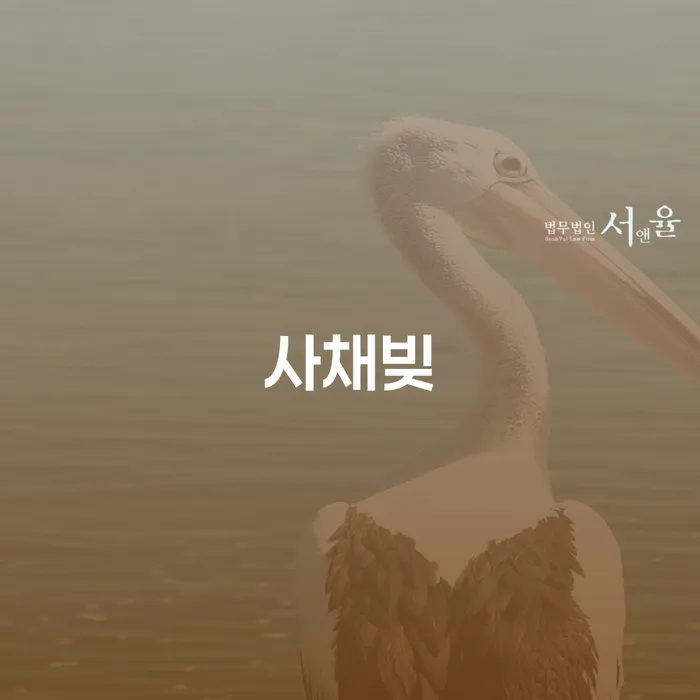개인회생 대출 받은 돈채무조정 희망으로