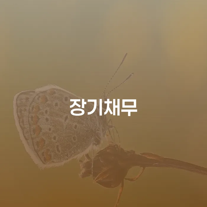 대부업연체 채무 효과적인 해결방법 다른방법이