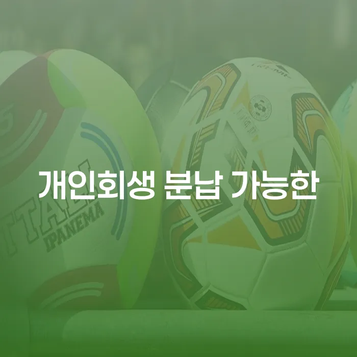 대출연체 되었을 때 개인회생으로 해결방법 자세히알고