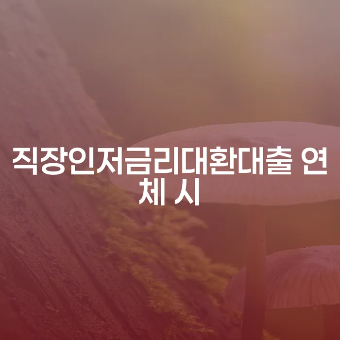 계룡시 신용카드이용자대출 연체 시 빚갚는 방법 핵심요약
