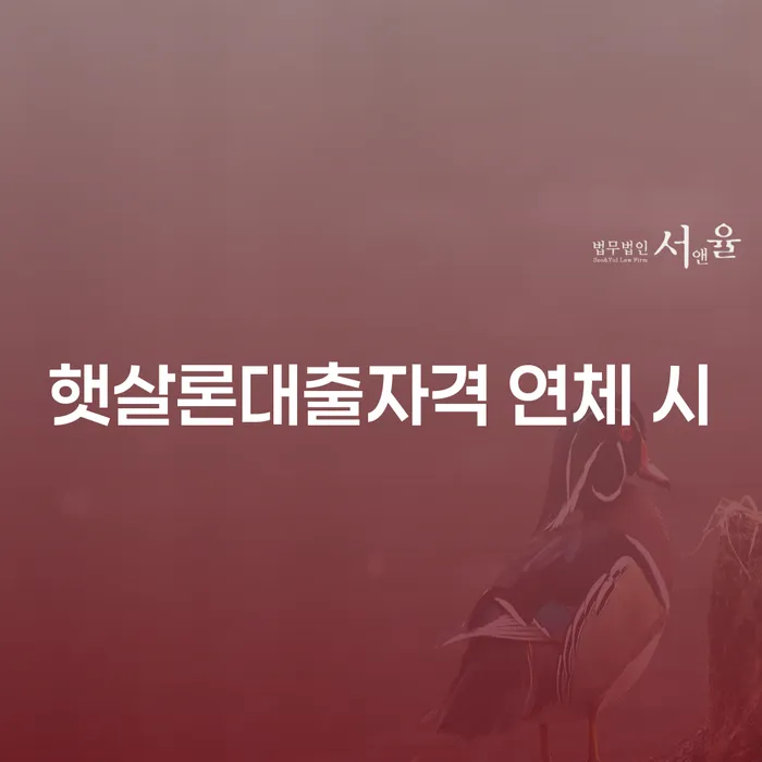 고흥군 부산개인회생전문 빚갚는 방법 노하우들