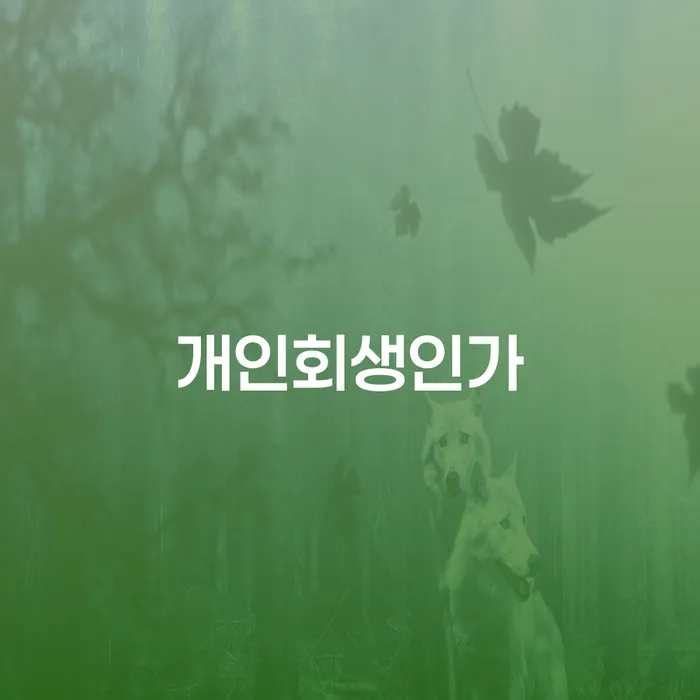 양천구 불법채권추심 신용회복 견적체크