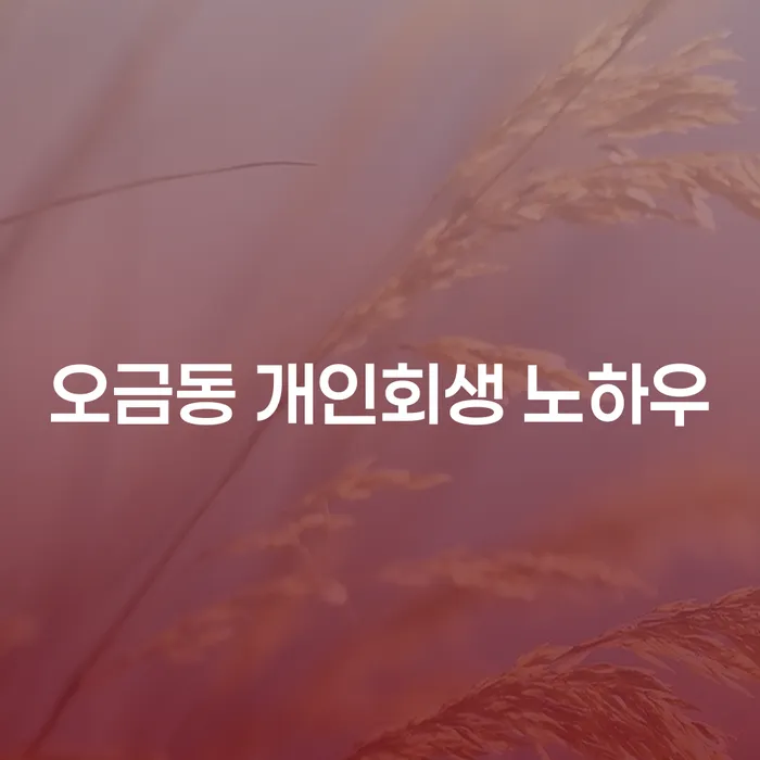 오금동 개인회생 노하우