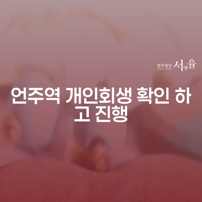 언주역 개인회생 확인 하고 진행