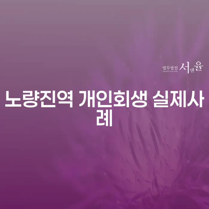노량진역 개인회생 실제사례