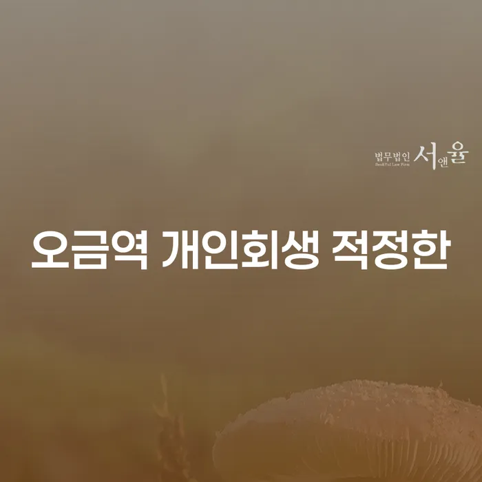 오금역 개인회생 적정한