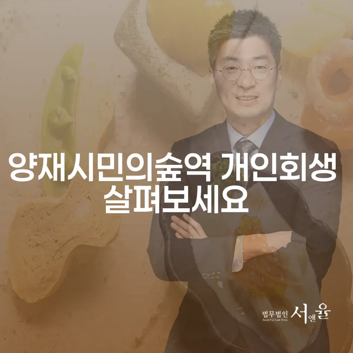 양재시민의숲역 개인회생 살펴보세요