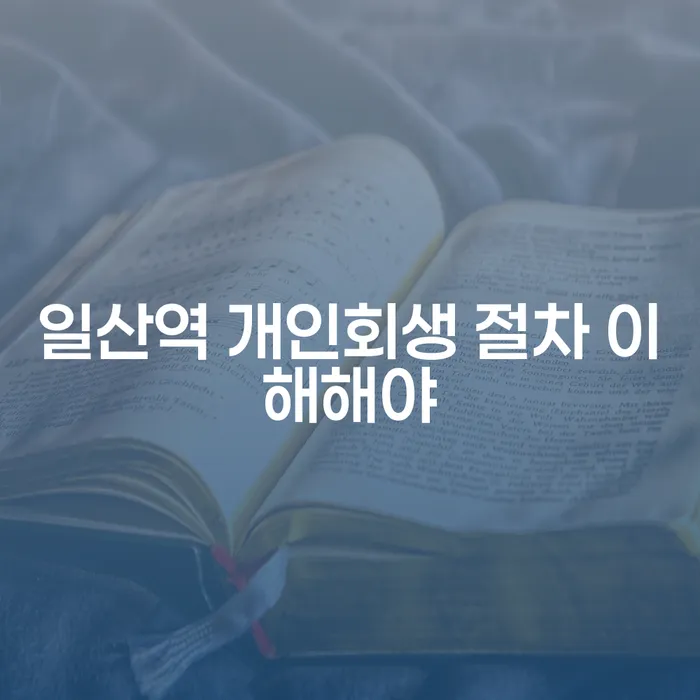 일산역 개인회생 절차 이해해야