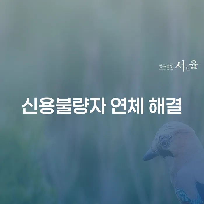 신용불량자 연체 해결: 어떻게 해야 할까요?