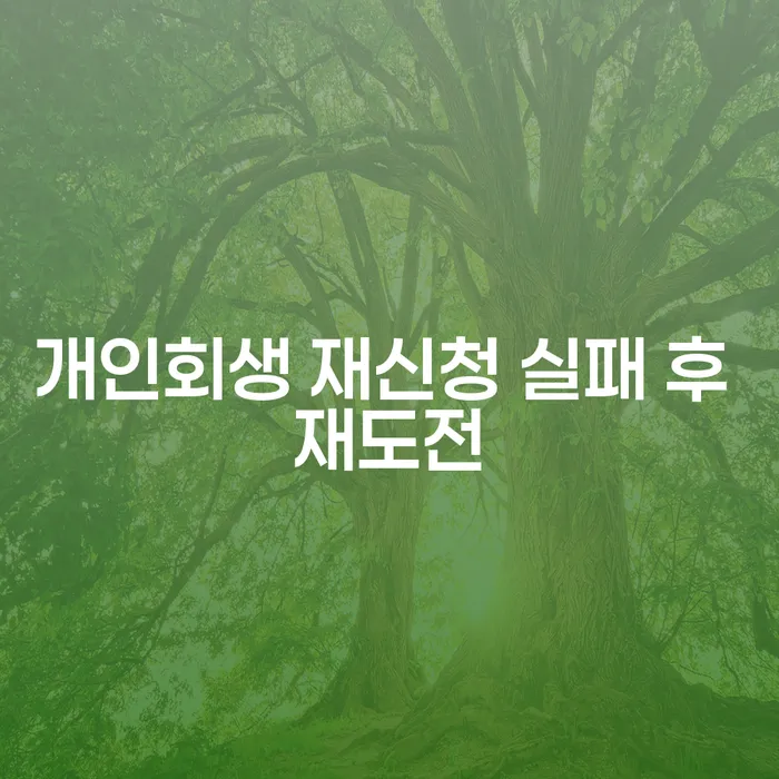 개인회생 재신청 실패 후 재도전, 그 가능성을 높이는 방법은 무엇일까요?