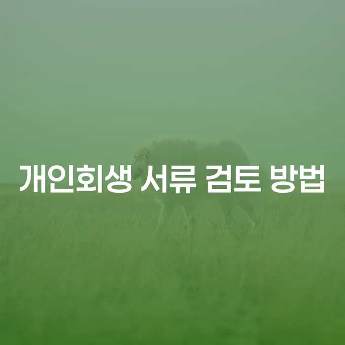 개인회생 서류 검토 방법: 어떻게 준비해야 할까요?