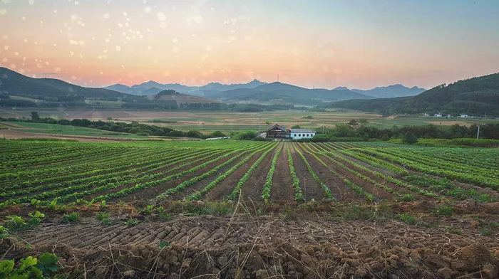 개인회생과 개인파산