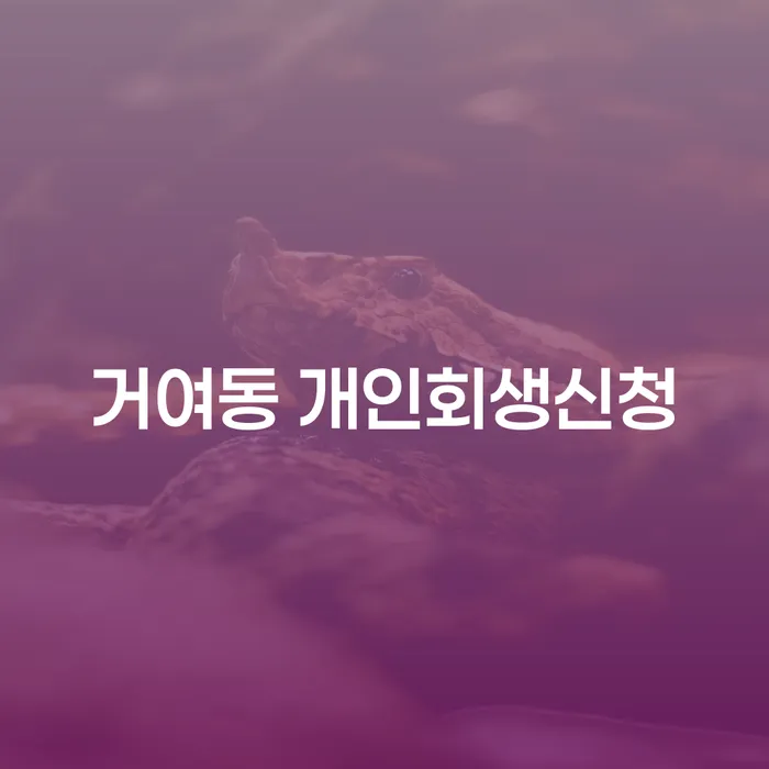 거여동 개인회생신청, 어떻게 해야 할까요?